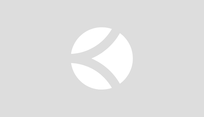 GYMNASE L. THEVENET - TERRAIN 2